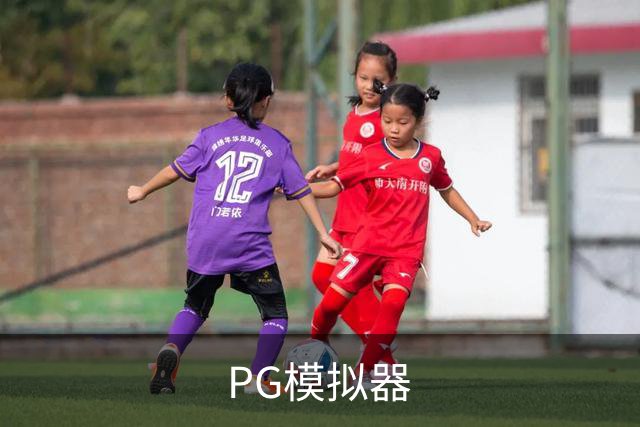 PG模拟器公司介绍